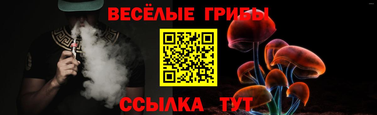 Галлюциногенные грибы Psilocybe  Вход с VPN  Кызыл  Псилоцибиновые грибы Psilocybe 
